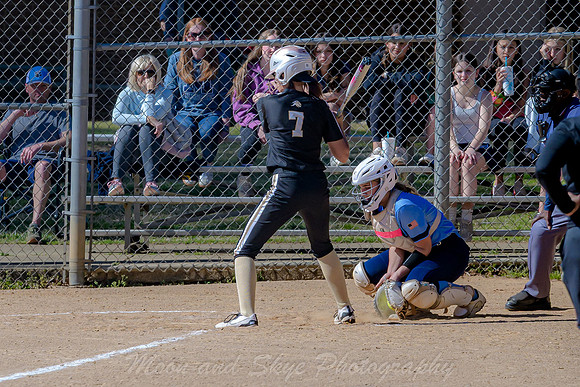 D50_0237