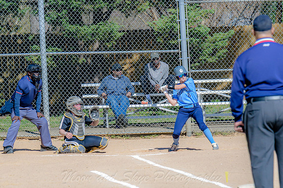 D50_0253