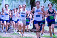 D85_8657