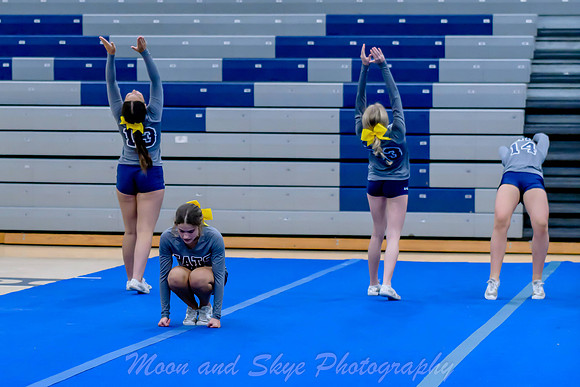 D85_5332