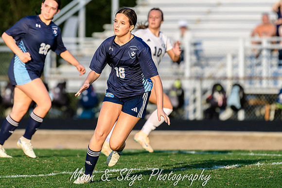 _D853336