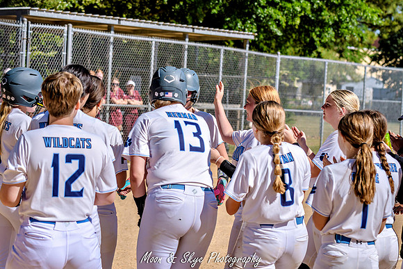 _D502782