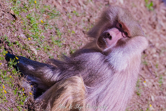 _D504875