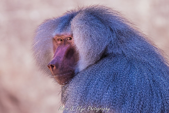 _D504882