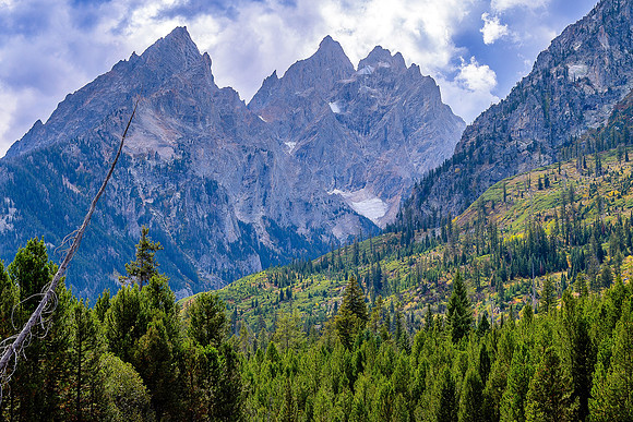 _D505696