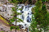 _D505869