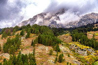 _D505782