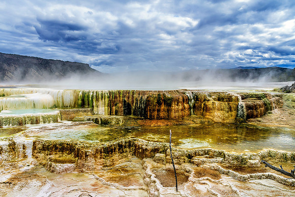 _D505969