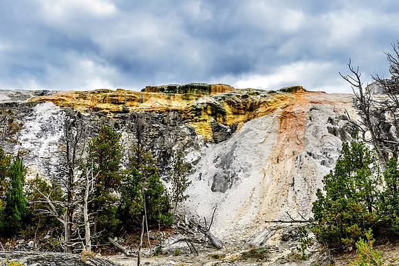 _D505979
