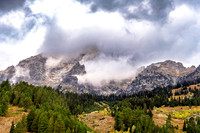 _D505781