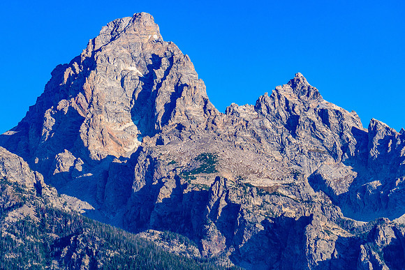 _D505579