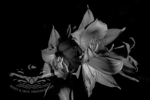 _D852170