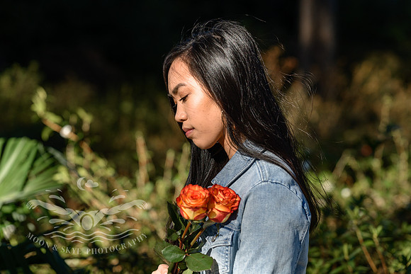 D85_6546