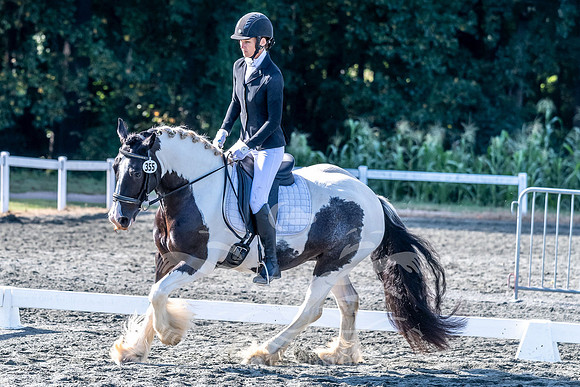 _8501660