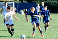 JV
