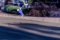 0306-Boys Practice