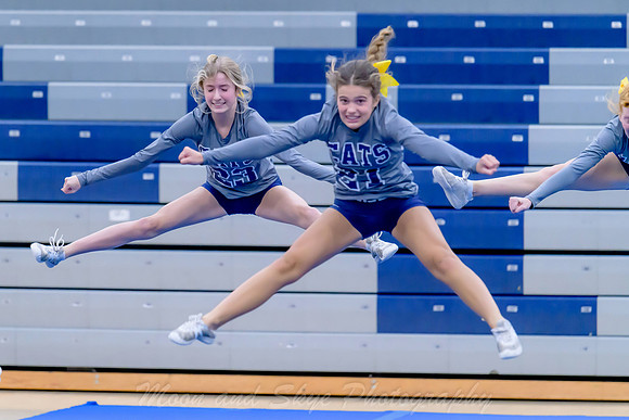 D85_4695