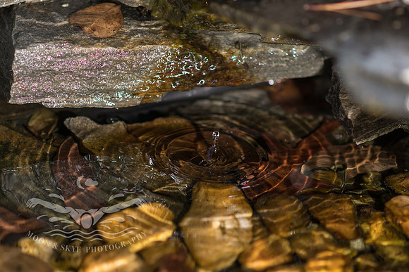 D85_6269