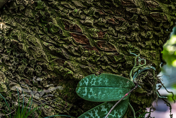_D818919