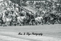 D50_4338