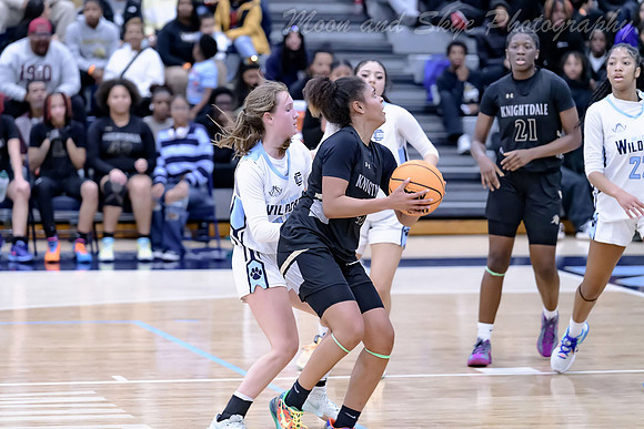 D85_8137