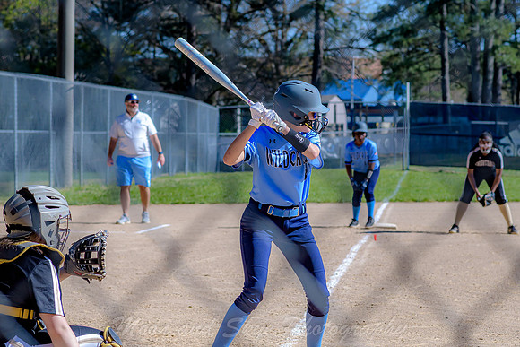 D50_0332