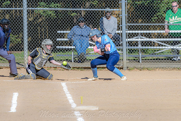 D50_0299