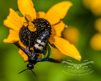 DSC_0545
