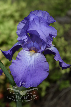 D50_6162