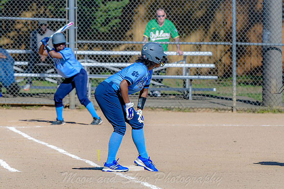 D50_0319