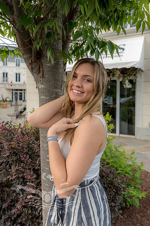 _D812511